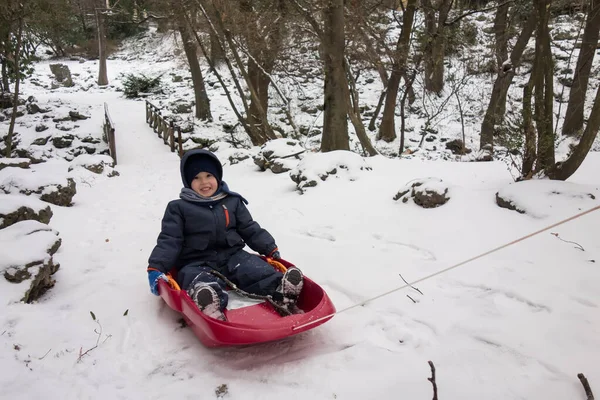 Felice bambino sulla sua slitta nella neve invernale — Foto Stock