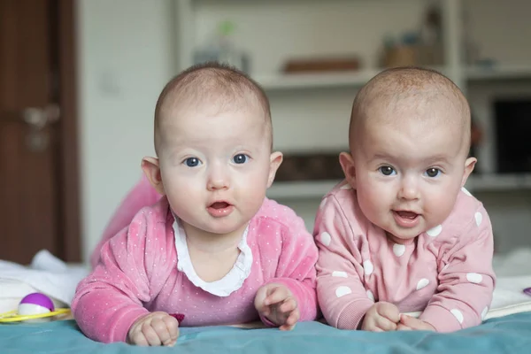 Gémeos adoráveis de seis meses na cama em casa. Miúdos giros durante a barriga. Dois bebês gêmeos na cama. — Fotografia de Stock