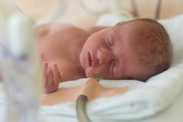 Bebé prematuro recién nacido en la incubadora del hospital. Unidad de cuidados intensivos neonatales —  Fotos de Stock