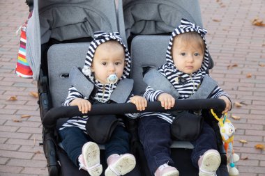 Bebek arabasında oturan sevimli ikiz bebekler.