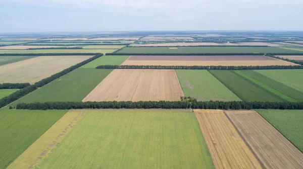 Vista aérea de campos con diversos tipos de agricultura. —  Fotos de Stock