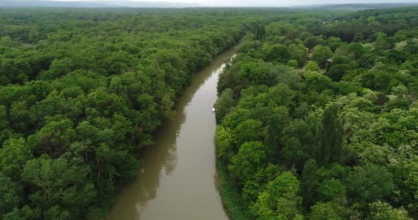 Flygfoto Över Älv Och Vacker Skog Floden Kamchia Bulgarien — Stockvideo