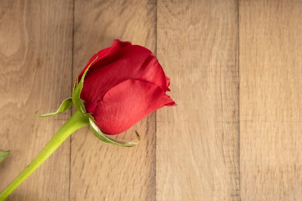 Rosa Roja Sobre Fondo Madera Antecedentes Para Día San Valentín —  Fotos de Stock