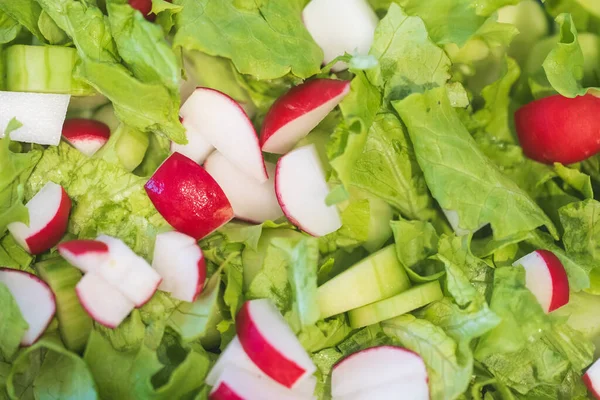 Fresh Green Salad Cucumbers Radishes — Stock Photo, Image