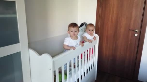 两个兄弟双胞胎姐妹在婴儿床里玩得很开心 两个婴儿站在婴儿床里 — 图库视频影像