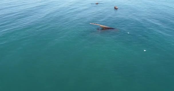 Gemi Enkazının Havadan Görünüşü Suda Terk Edilmiş Paslı Bir Gemi — Stok video