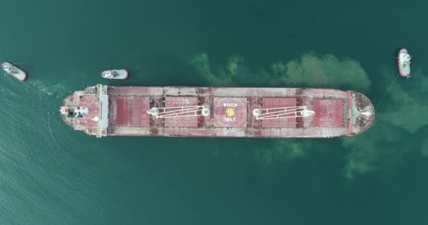 Aerial Top View Tug Boats Assisting Big Cargo Ship Large — Stock Video