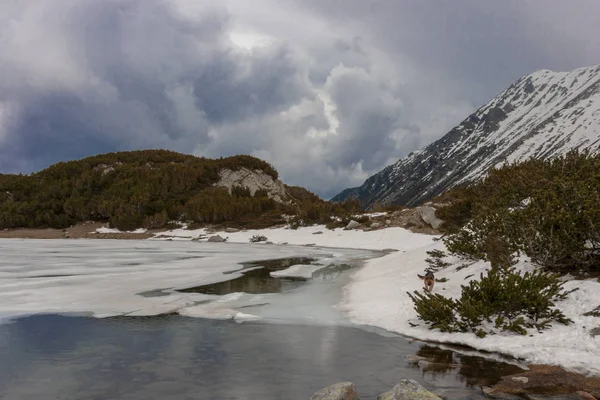 Krajobraz olbrzymiego jeziora zamieniającego się w lód z pokrytymi śniegiem górami z tyłu i zachmurzonym niebem. — Zdjęcie stockowe