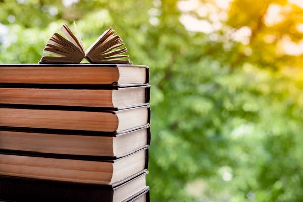 Ein Stapel Bücher auf dem grünen Hintergrund, über dem aufgeschlagenen Büchlein Stockfoto