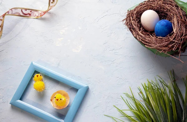 Background on a theme Easter, eggs, Chicks, flowers and grass — стоковое фото
