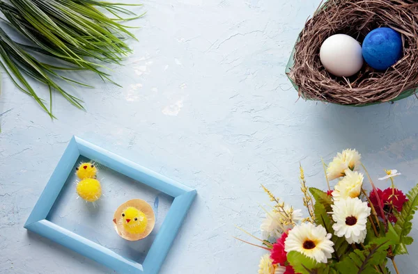 Background on a theme Easter, eggs, Chicks, flowers and grass — стоковое фото