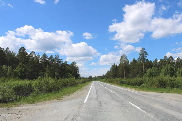 Sommar asfalterad väg bland gröna fält och träd — Stockfoto