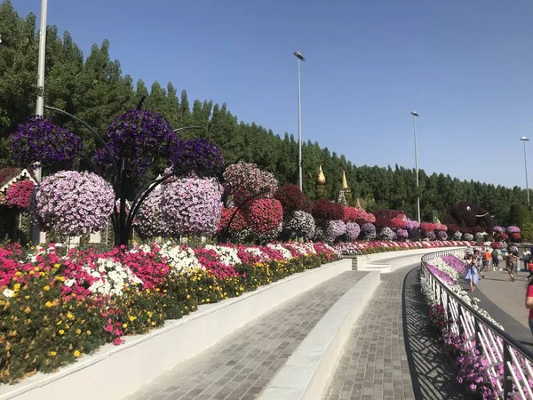Bahçe. Rahatlamak için zaman tanı.