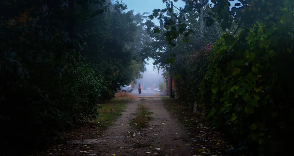 Morning Foggy Alley Novaya Embankment Volgograd — Stock Photo, Image