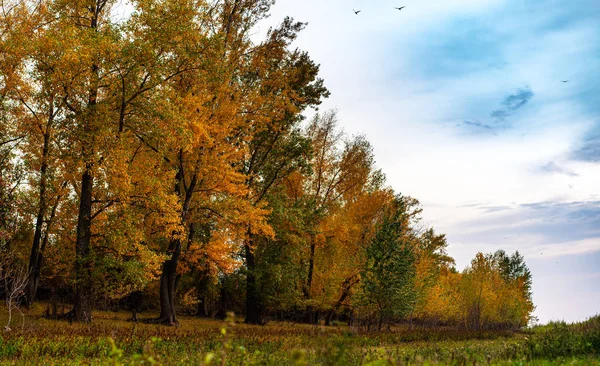 Nice autumn day on the banks of the Volga River