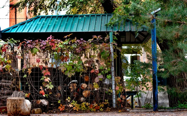 Lugar Colectivo Para Asar Relajarse Uno Los Patios Ciudad Volzhsky — Foto de Stock