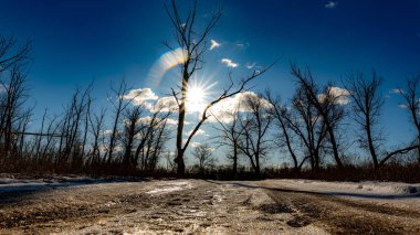 Güzel bir kış ormanında yol