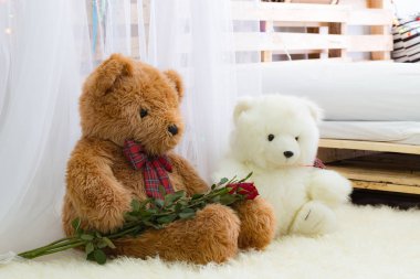 Gül Sevgililer günü elinde oyuncak ayı çiftle.