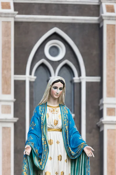 The Blessed Virgin Mary in front of the Roman Catholic Diocese, — Stock Photo, Image