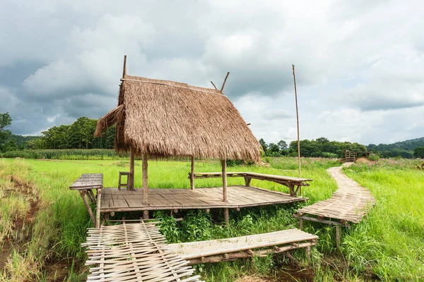 Cottage and Wood bridge walkway along green rice field during sunset