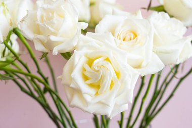 Kavanozda beyaz güller