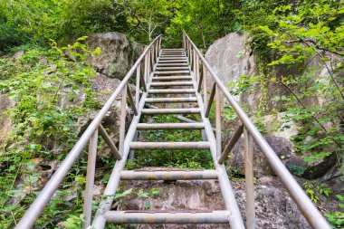Ulusal bir parkın ormanına çıkan demir merdivenler. Üst kata tırmanma kavramı başarının yolu.