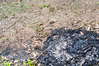 Yerde yanan yapraklar var.