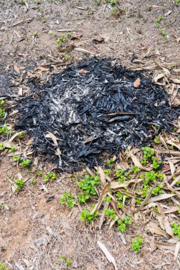 Yerde yanan yapraklar var.