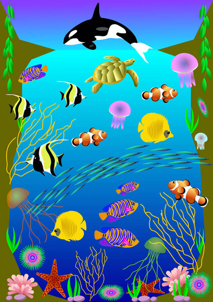 Vector illustration of tropical fish with beautiful underwater world of the sea, ocean. Jellyfish, corals, turtle, fish, starfish, killer whale, algae, stones, water, sky, rock. Poster, banner.