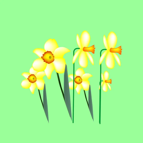Set Lentebloemen Van Narcissen Een Witte Groene Achtergrond Isolaten Vectorillustratie — Stockvector
