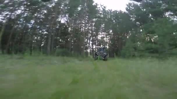 Man on ATV rides through the woods. — Stock Video