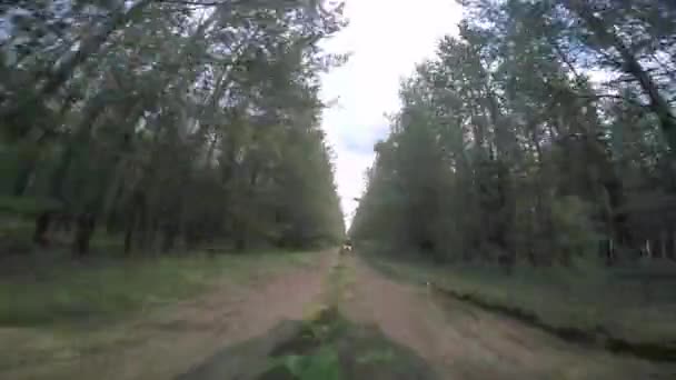 Two men on a quad bike and cross bike go through the woods. — Stock Video