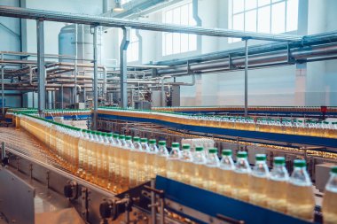 Bira şişe Konveyör bant üzerinde. Bira fabrikası.