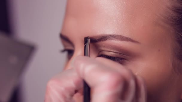 Artista de maquilagem profissional desenhando sobrancelhas do modelo. Beleza, maquiagem e conceito de moda. Fechar . — Vídeo de Stock