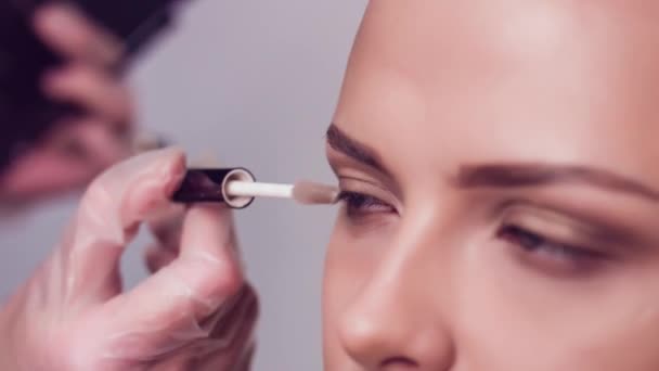 Maquillaje profesional artista dibujando cejas de modelo. Belleza, maquillaje y concepto de moda. De cerca. . — Vídeo de stock