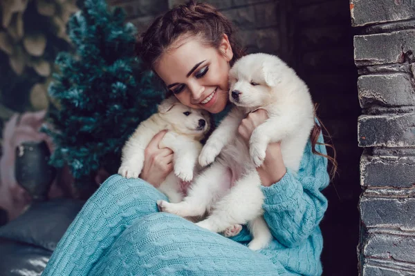 Attractive girl sits at home and with cute puppies on hands. Christmas. — Stock Photo, Image