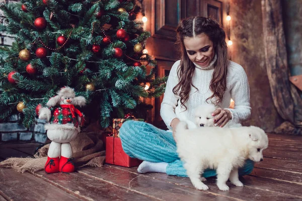 Schöne Frau mit niedlichen Welpen, die neben dem Weihnachtsbaum sitzen. Neues Jahr. — Stockfoto