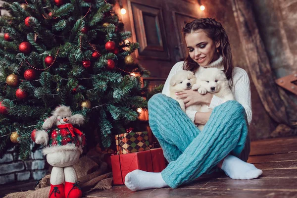 stock image Beautiful woman with cute puppies sitting near Christmas tree. New Year.