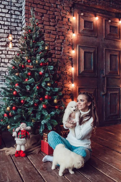 Vacker kvinna med söta valpar sitter nära julgran. Nytt år. — Stockfoto