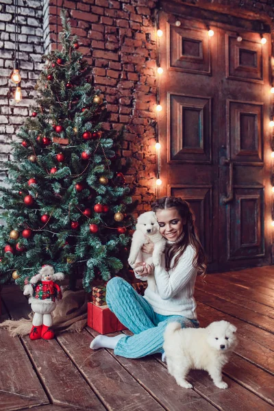 Sevimli yavru Noel ağacının yanında oturan güzel kadınla. Yeni yıl. — Stok fotoğraf