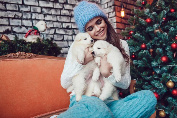 Beautiful woman with cute puppies sitting near Christmas tree. New Year. — Stock Photo, Image