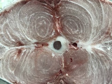 Bir bölümünde donmuş balık.