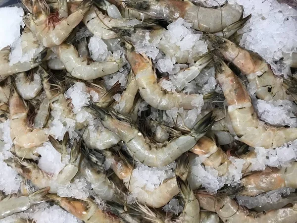 Verse garnalen op ijs in een supermarkt. — Stockfoto