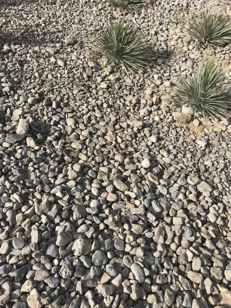 Ground stone grey background of many small stones.