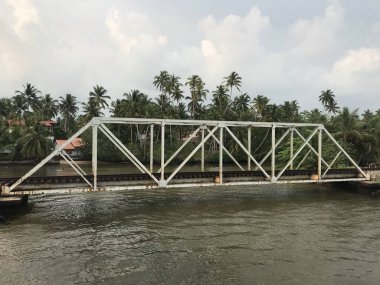 Tropik bir adada bir su birikintisi üzerinde köprü.