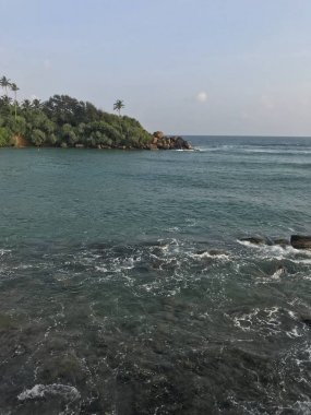 Palmiye ağaçlarıyla tropik ada plajı manzarası.