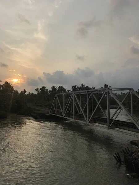Tropik bir adada bir su birikintisi üzerinde köprü.