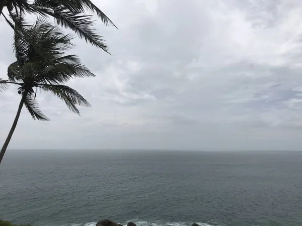 Imagen de océano y palmeras en clima nublado . — Foto de Stock