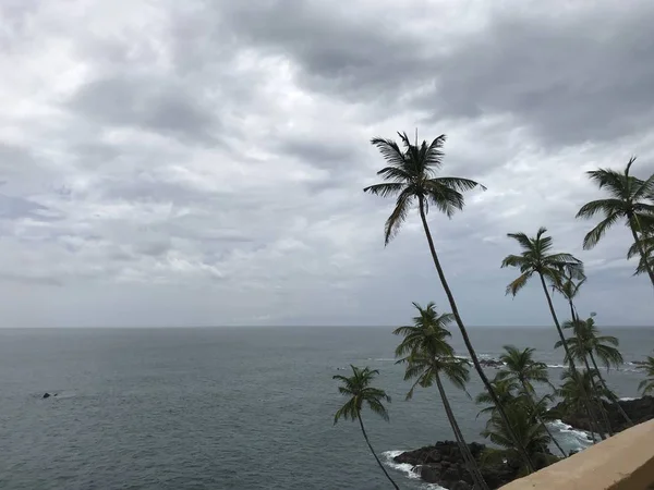 海と曇りの天候でヤシの木のイメージ. — ストック写真