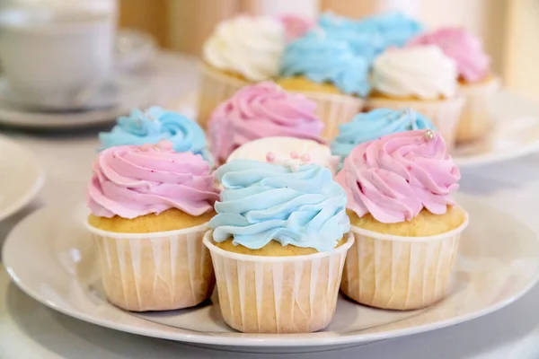 Mini Cupcakes Con Crema Batida Decorada Con Espolvoreos Caramelos Primavera — Foto de Stock